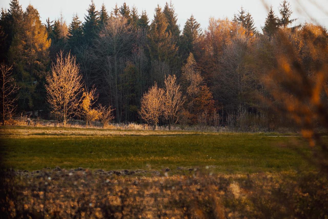 Chata U Tesaku Villa Rajnochovice Esterno foto